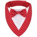 Formal Pet Wedding Suit