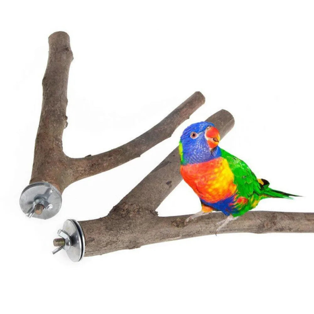 Wood Bird Stand Tree Branch