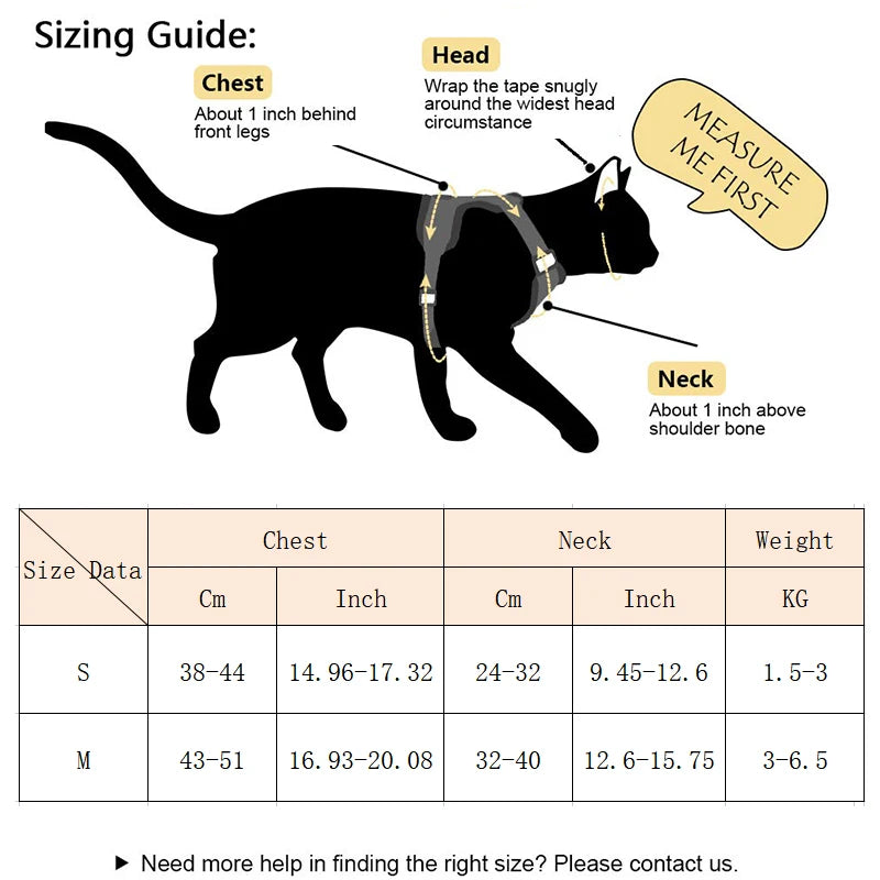 Harness Walking Pet Harnesses and Leash Set