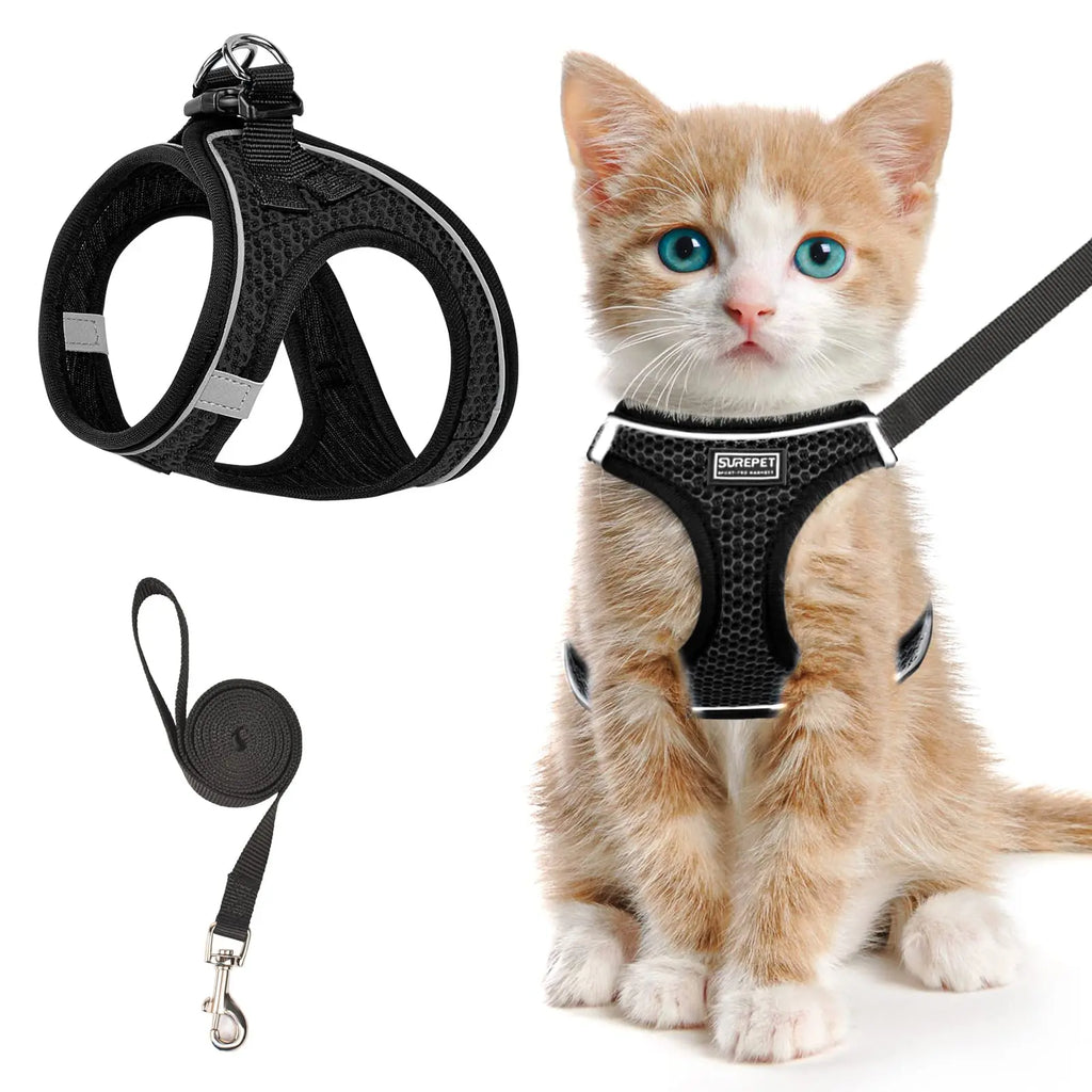 Cat Harness and Leash