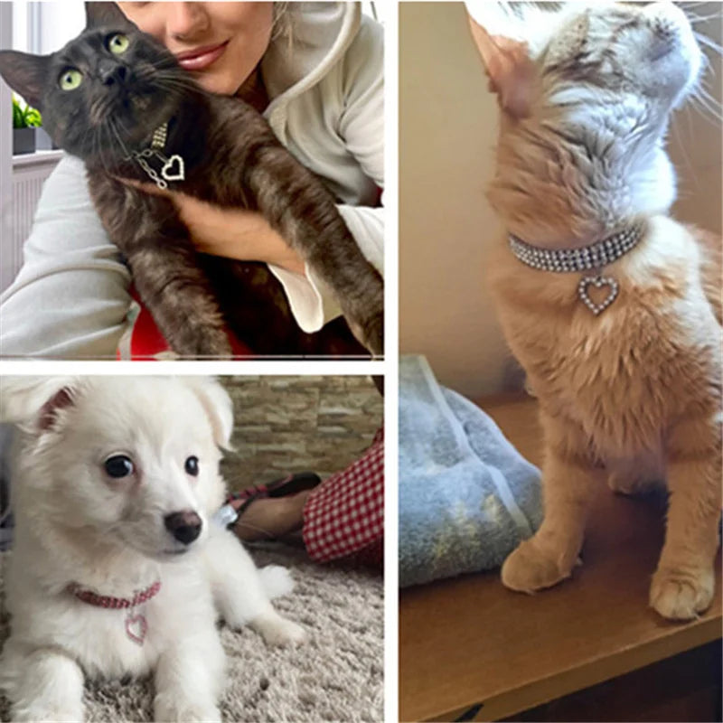 Three Row Elastic Rhinestone Pet Collars