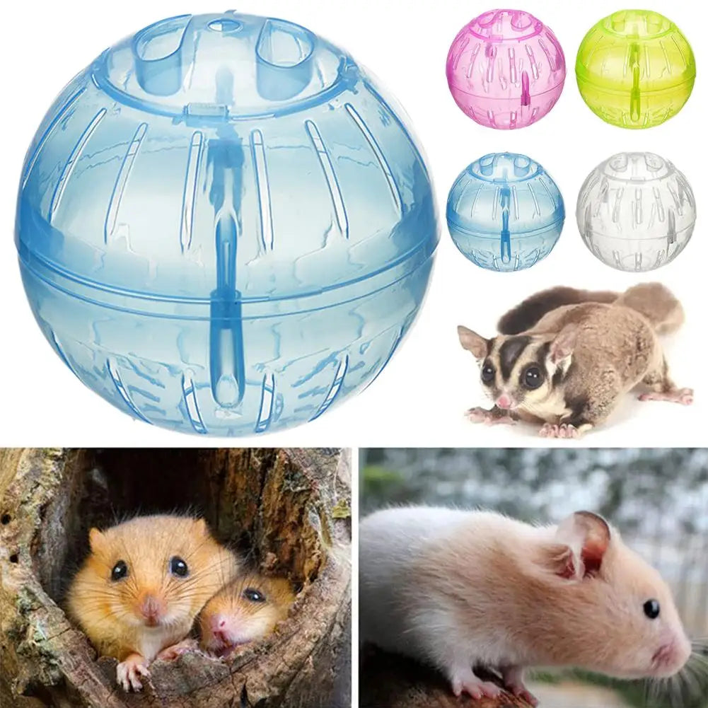 Transparent Acrylic Exercise Ball Escape Proof