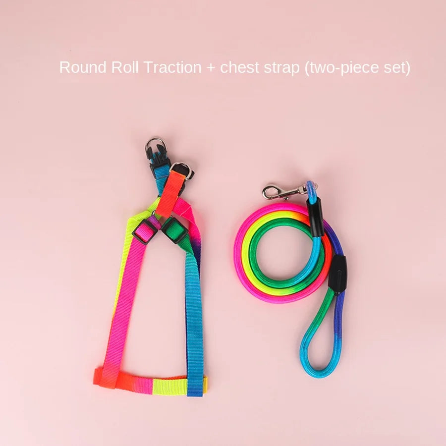 Leash + Harness Two-Piece Set
