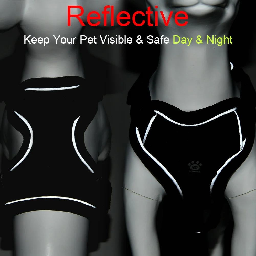 Adjustable Harness Leash