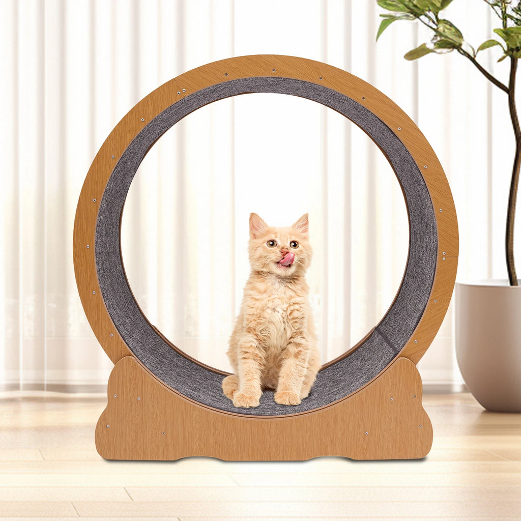 Wooden Cat Exercise Wheel Silent Treadmill