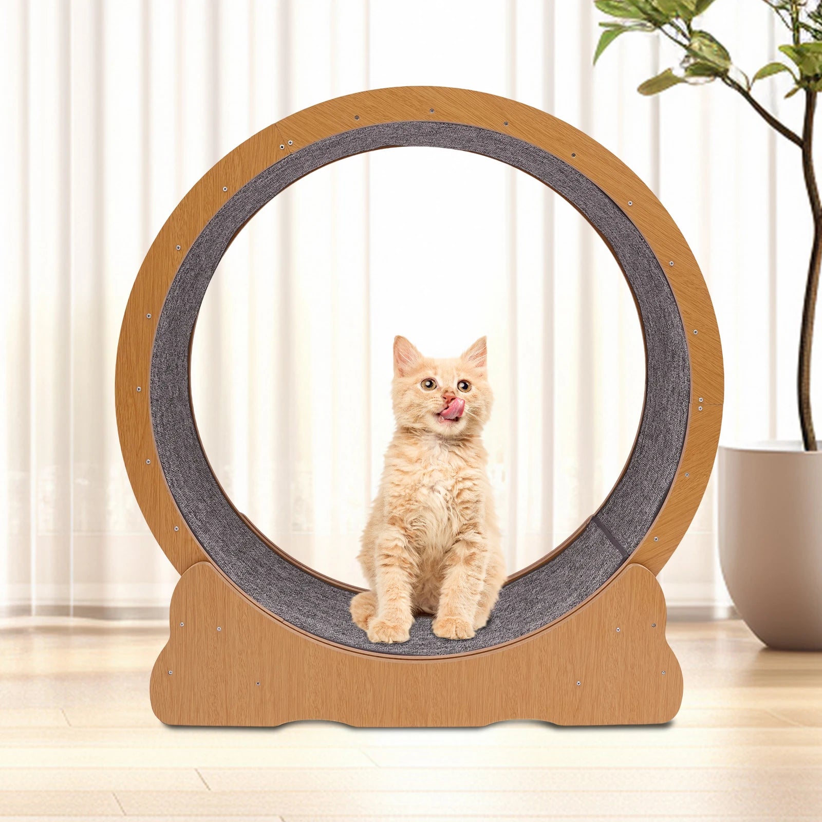 Wooden Cat Exercise Wheel Silent Treadmill