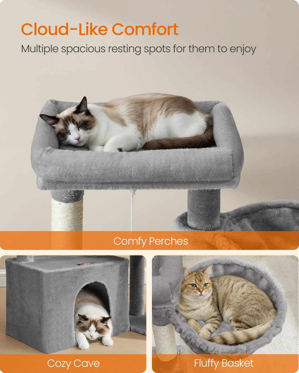 Cat Tower Condo