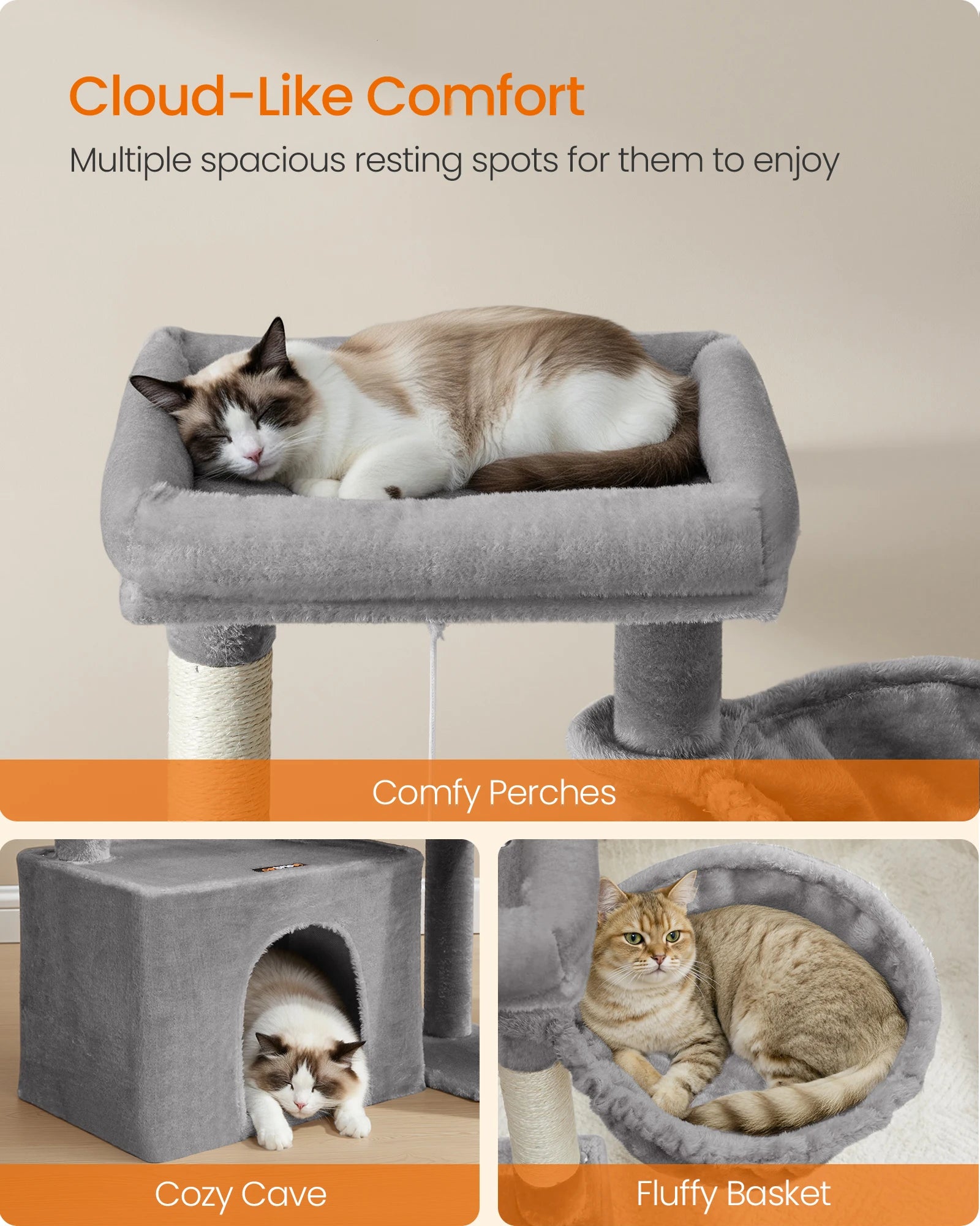 Cat Tower Condo