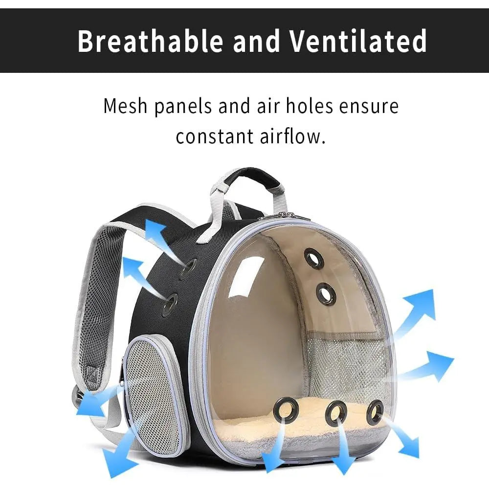 Small Animal Carrier