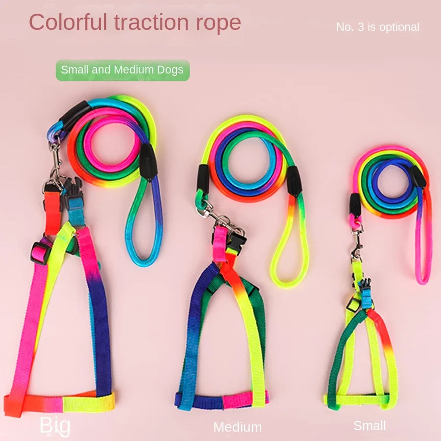 Leash + Harness Two-Piece Set
