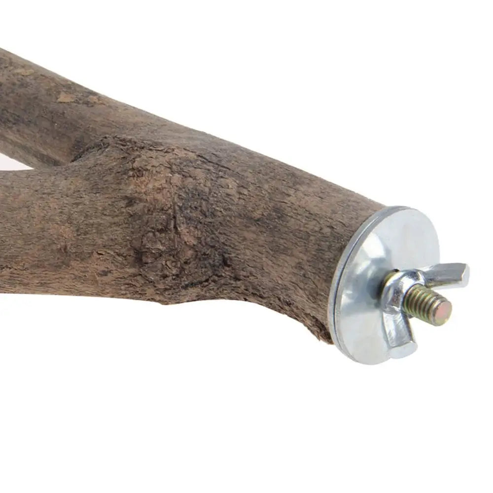 Wood Bird Stand Tree Branch