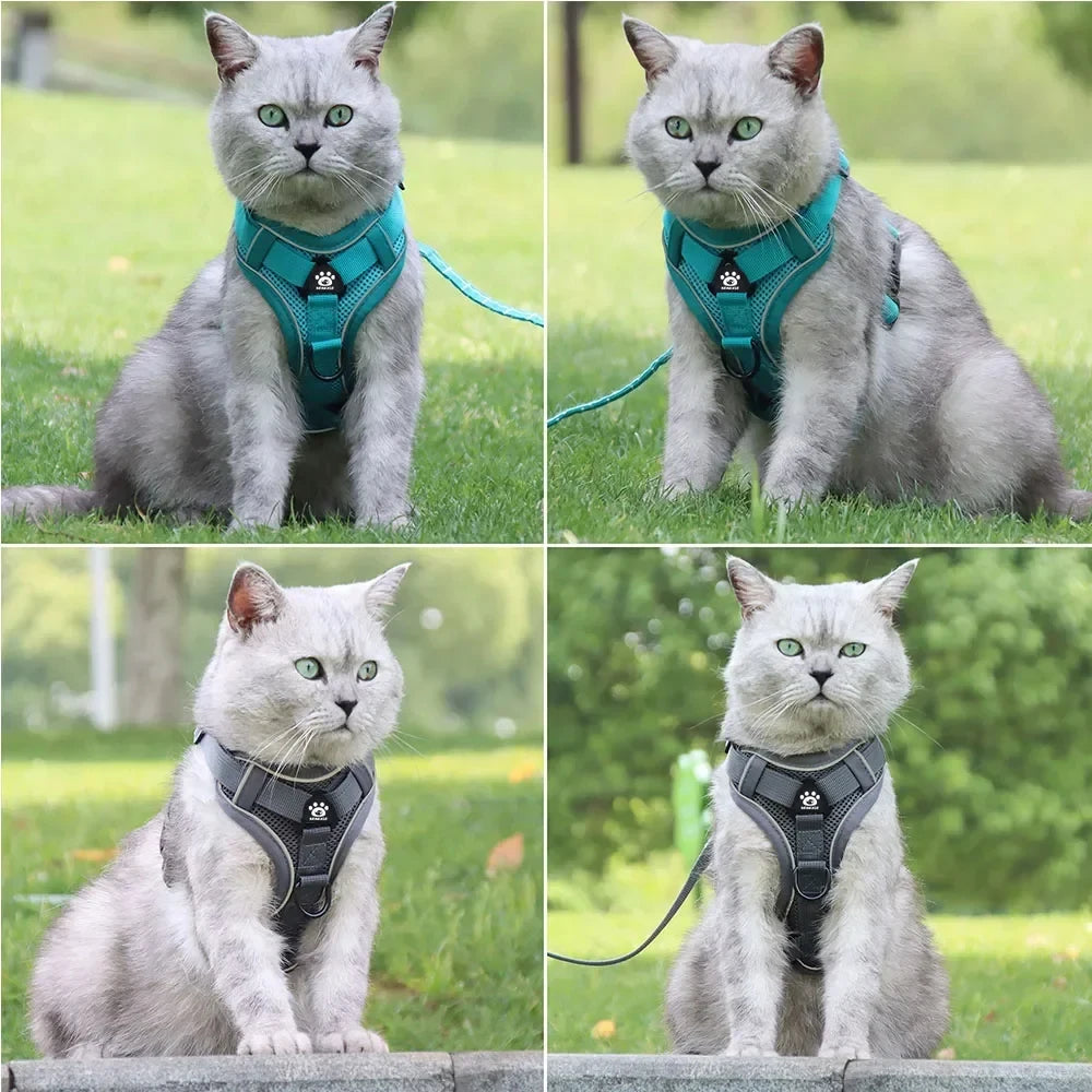 Reflective Harness and Leash Sets Breathable Mesh