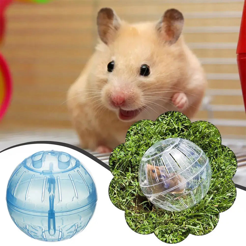 Transparent Acrylic Exercise Ball Escape Proof