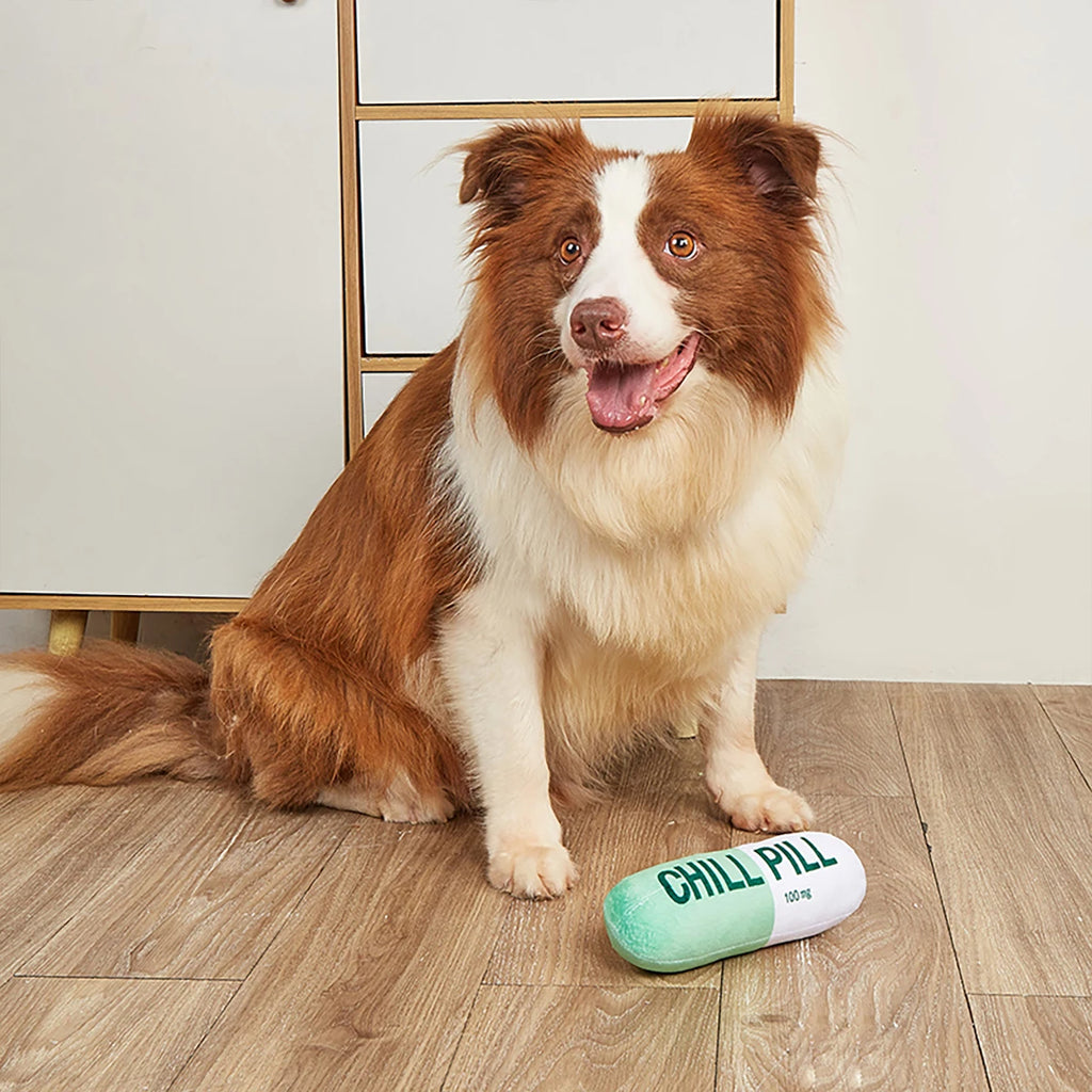 Interactive Plush Pill-Shaped Dog Toy with Squeaker