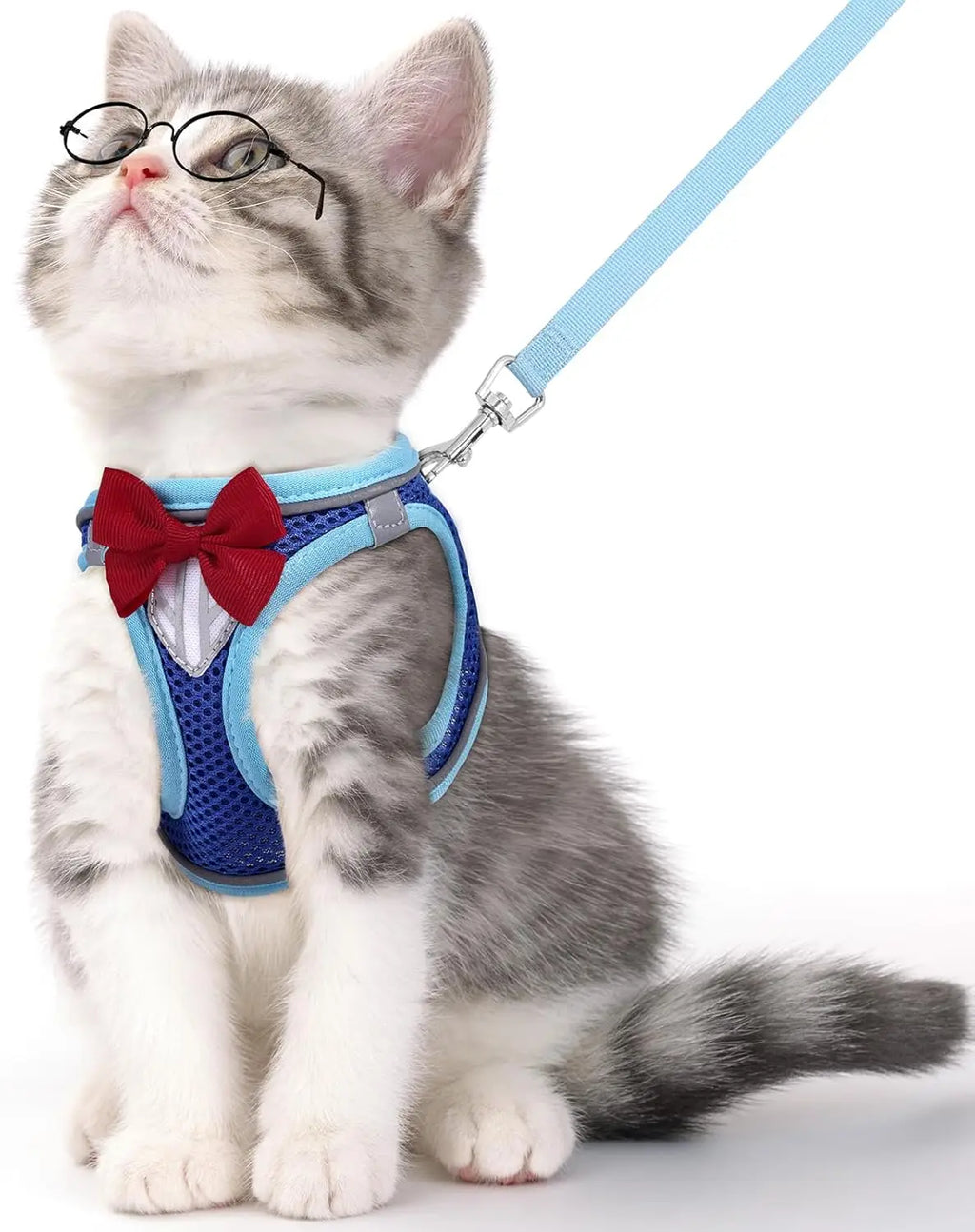 Escape-Proof Cat Vest Harness and Leash Set, Adjustable Breathable Mesh with Reflective Strips for Kitten Puppy Bunny in Blue XS