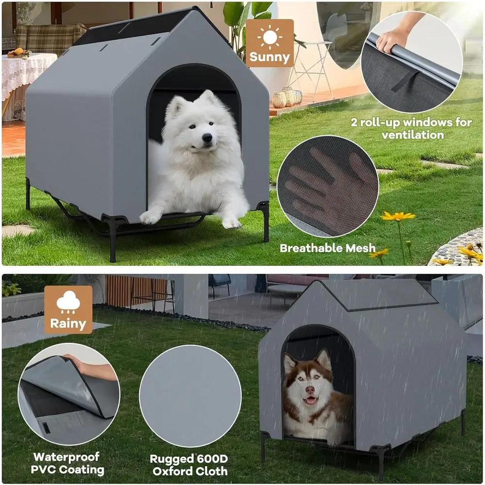 Large Dog House