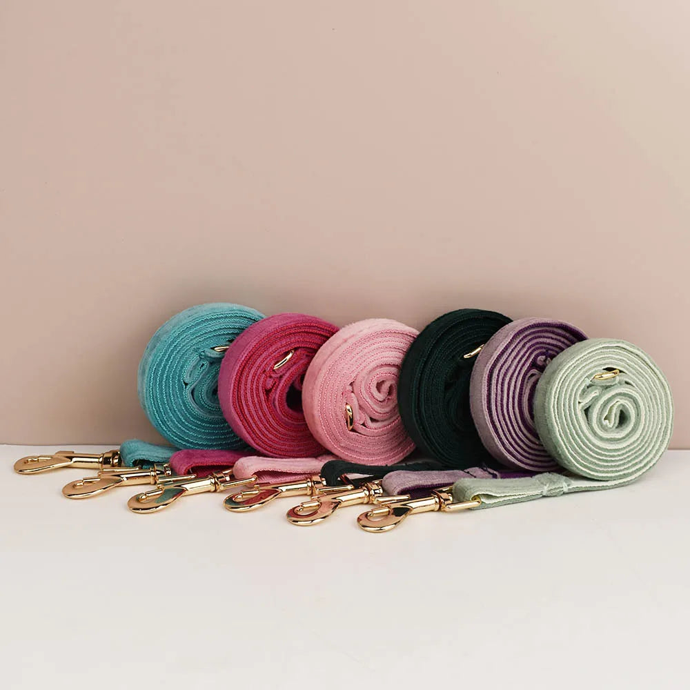 Cute Bowknot Collar Personalized
