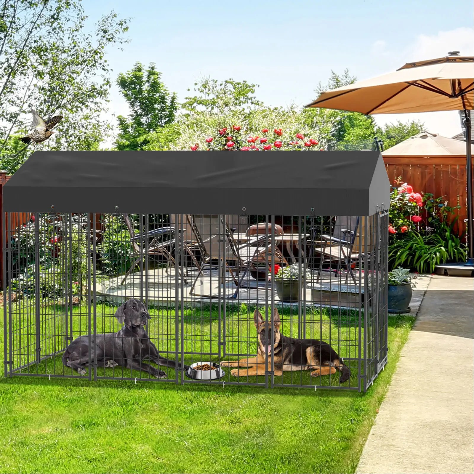 Pet Run Enclosure,