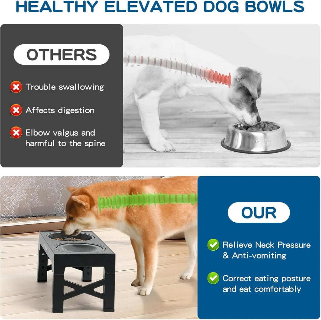 3-in-1 Elevated Slow Feeder Dog Bowls for Food and Water