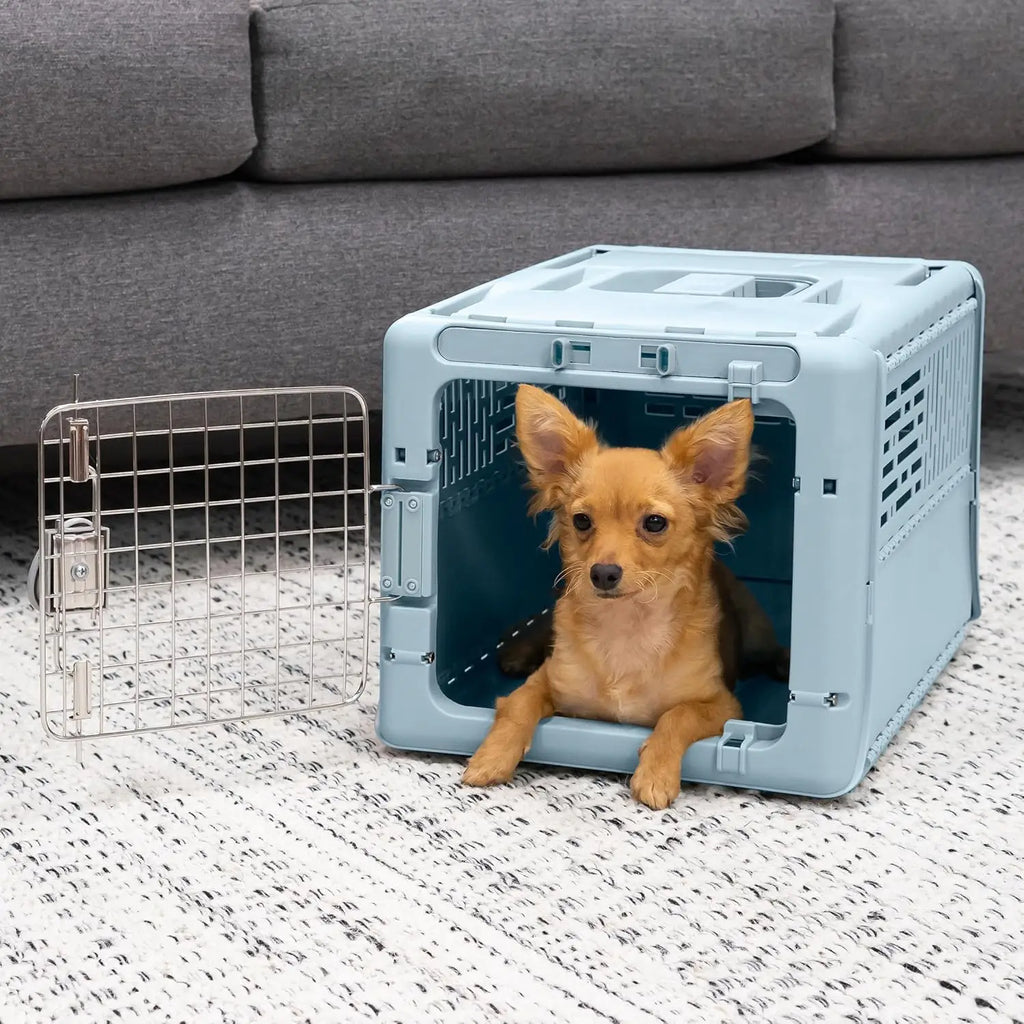 Collapsible Hard-Sided Pet Travel Carrier