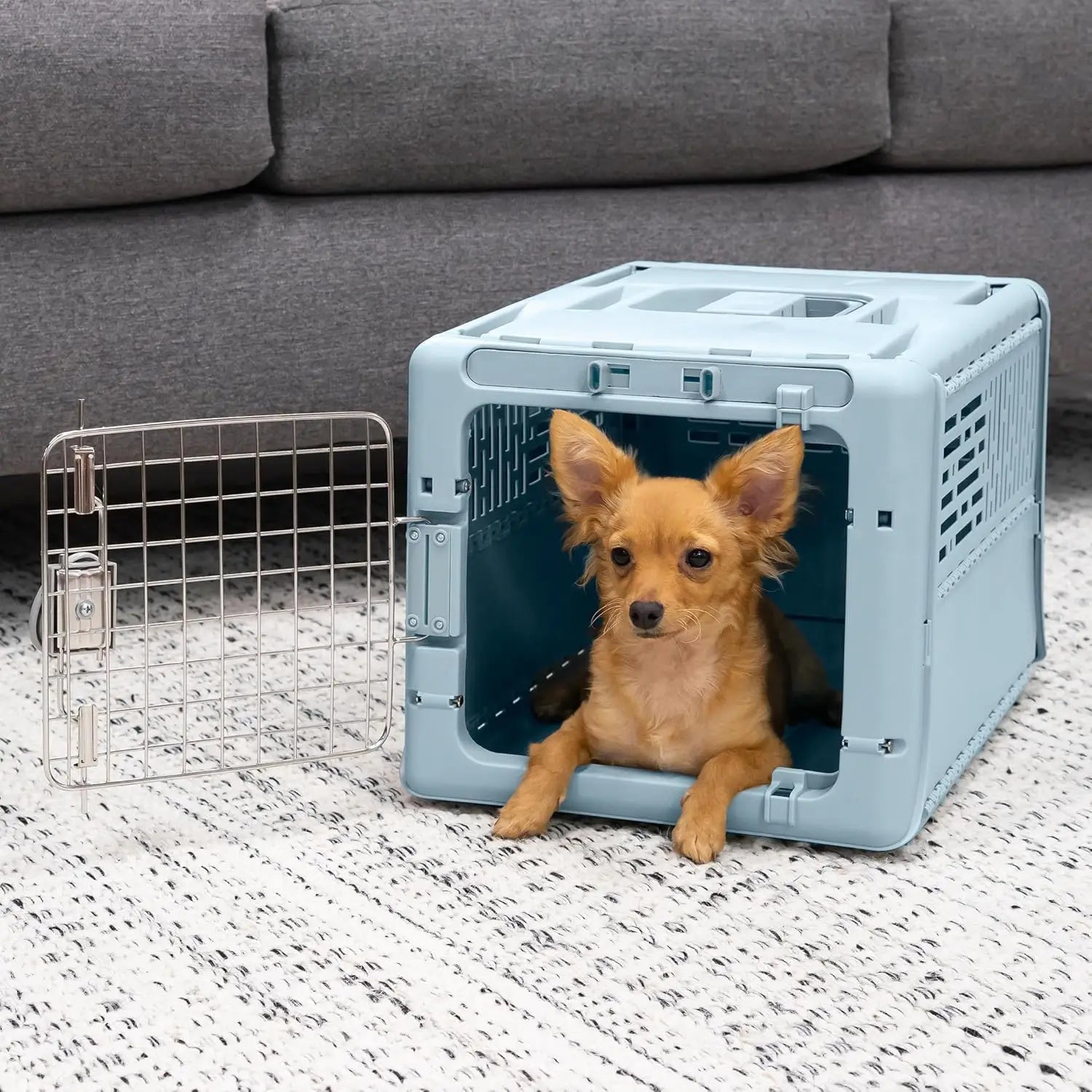Collapsible Hard-Sided Pet Travel Carrier