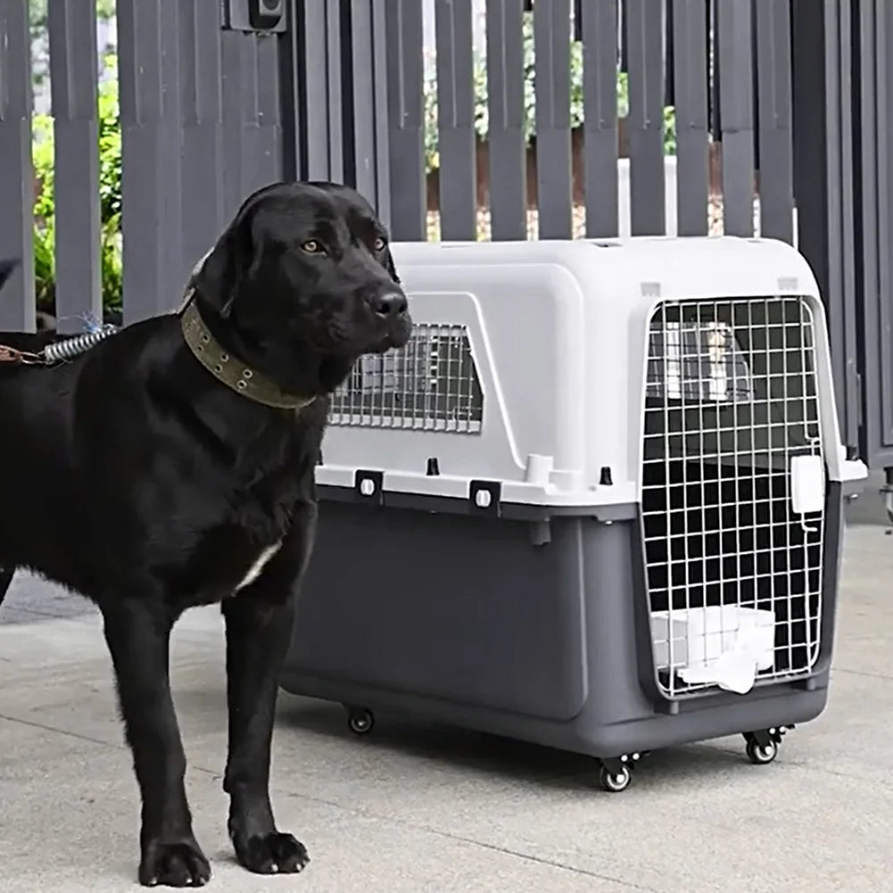 Airline Pet Carrier