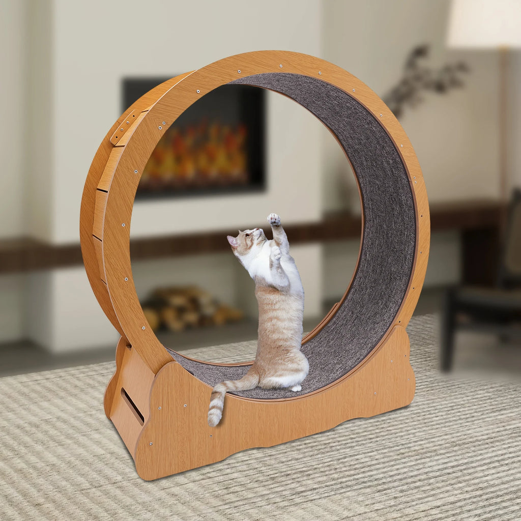 Wooden Cat Exercise Wheel Silent Treadmill