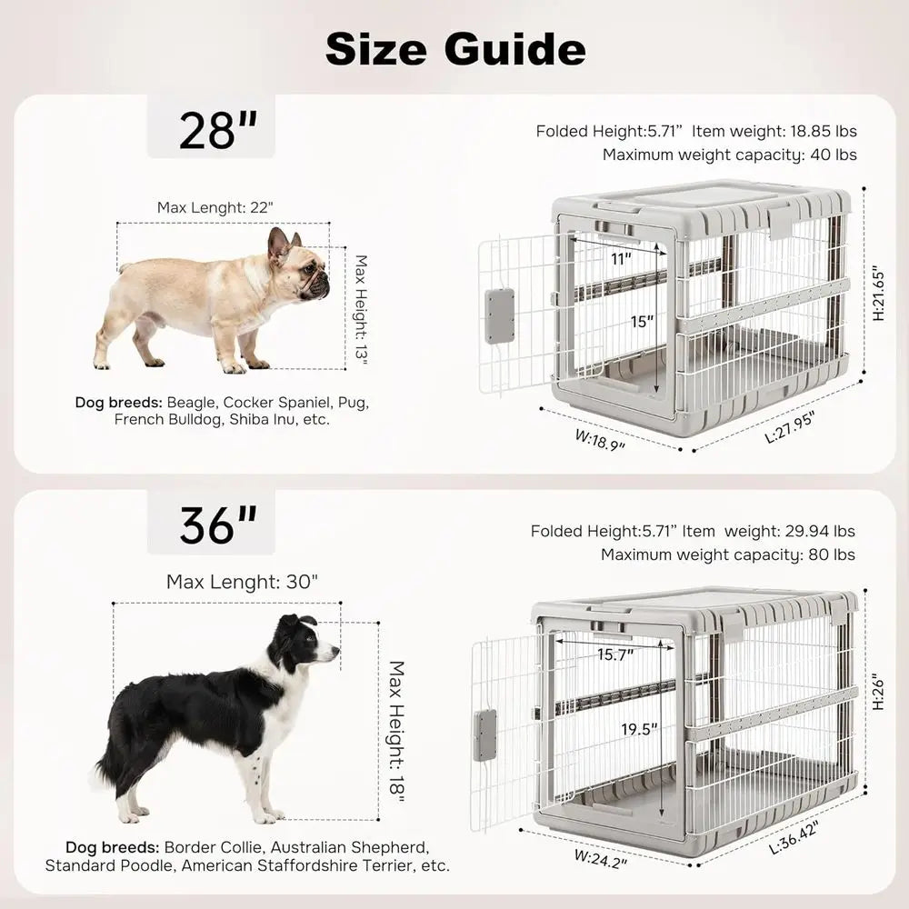 Collapsible Dog Crate
