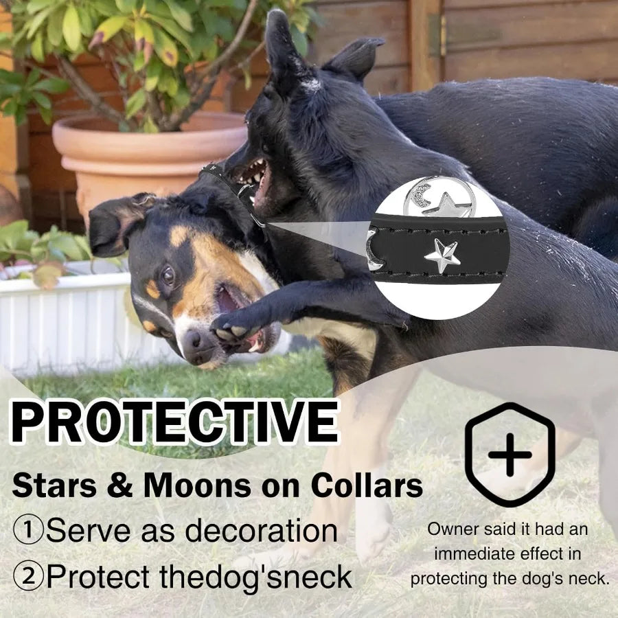 Leather Dog Collar