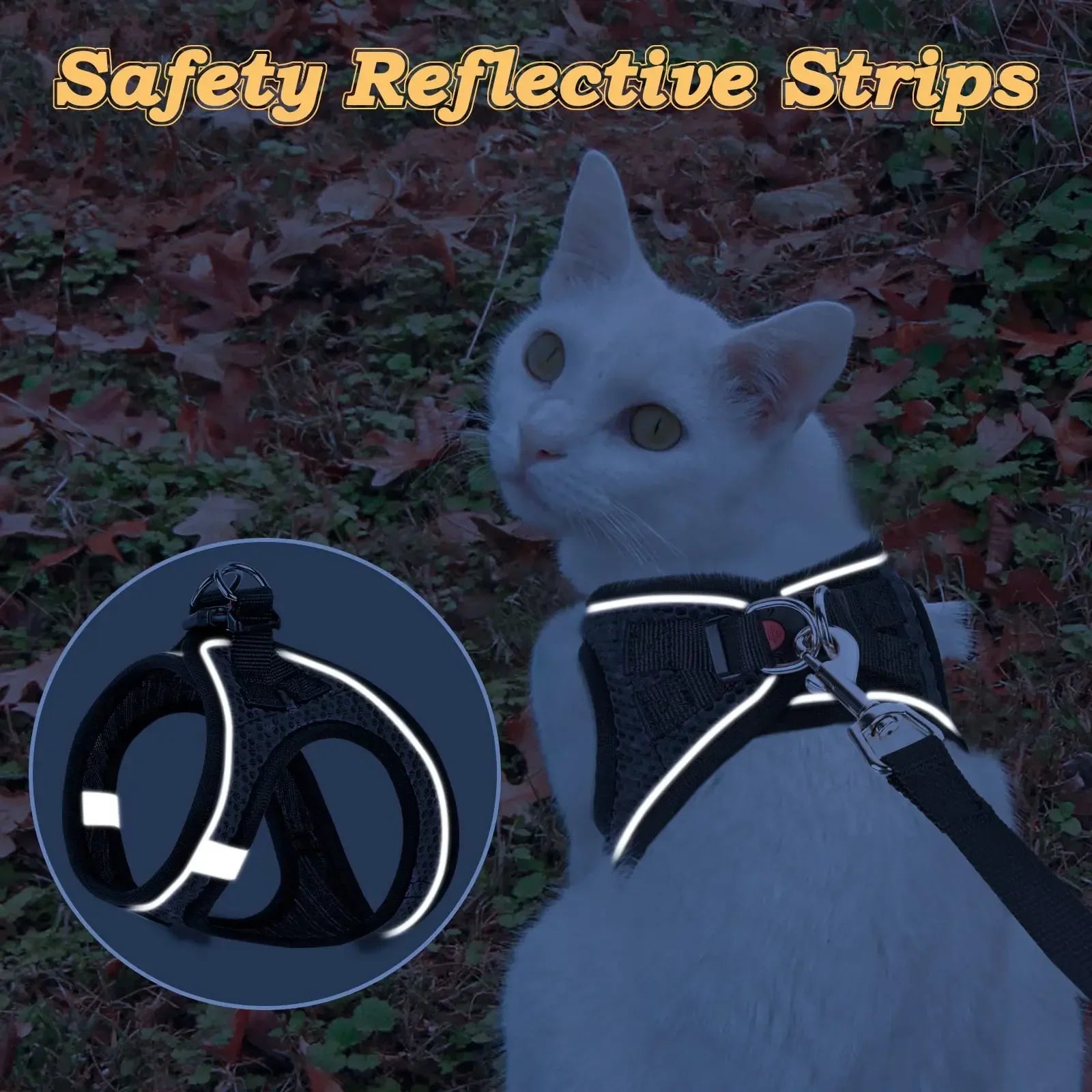 Cat Harness and Leash
