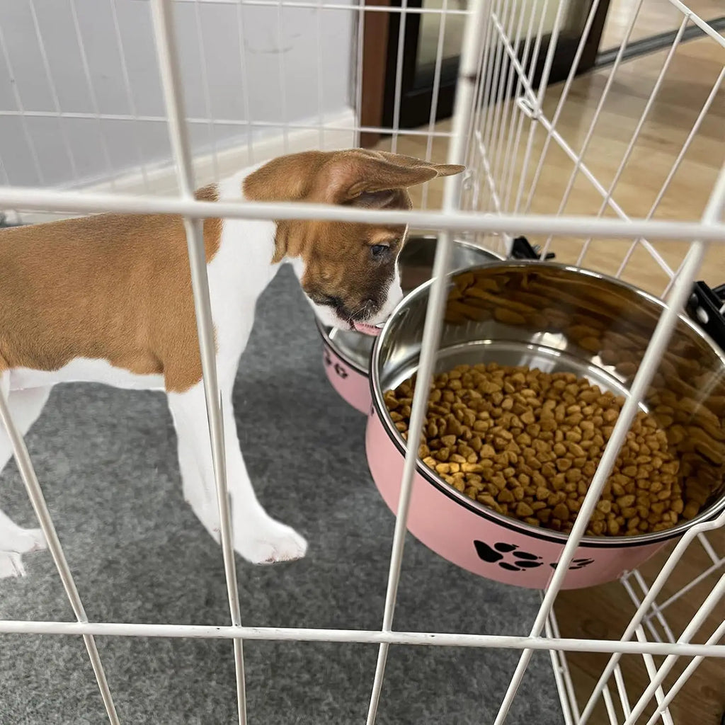 Crate Food and Water Bowl