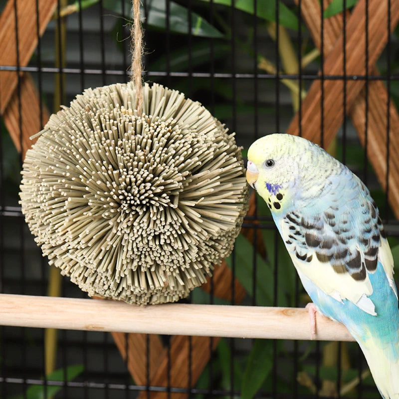 Hanging Chewing Toy, Shred Foraging