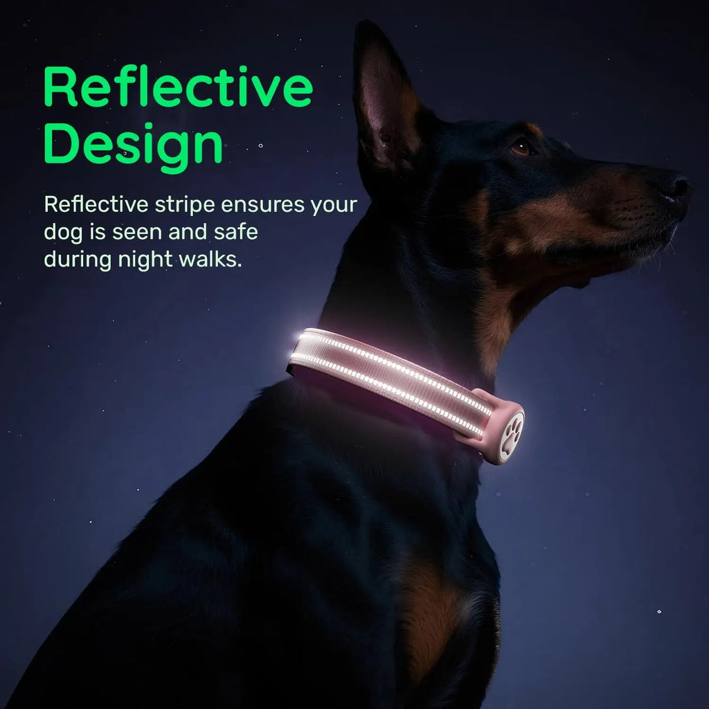 Reflective Ultra-Durable Nylon Padded with QR Code Buckle