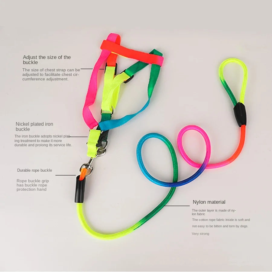 Leash + Harness Two-Piece Set